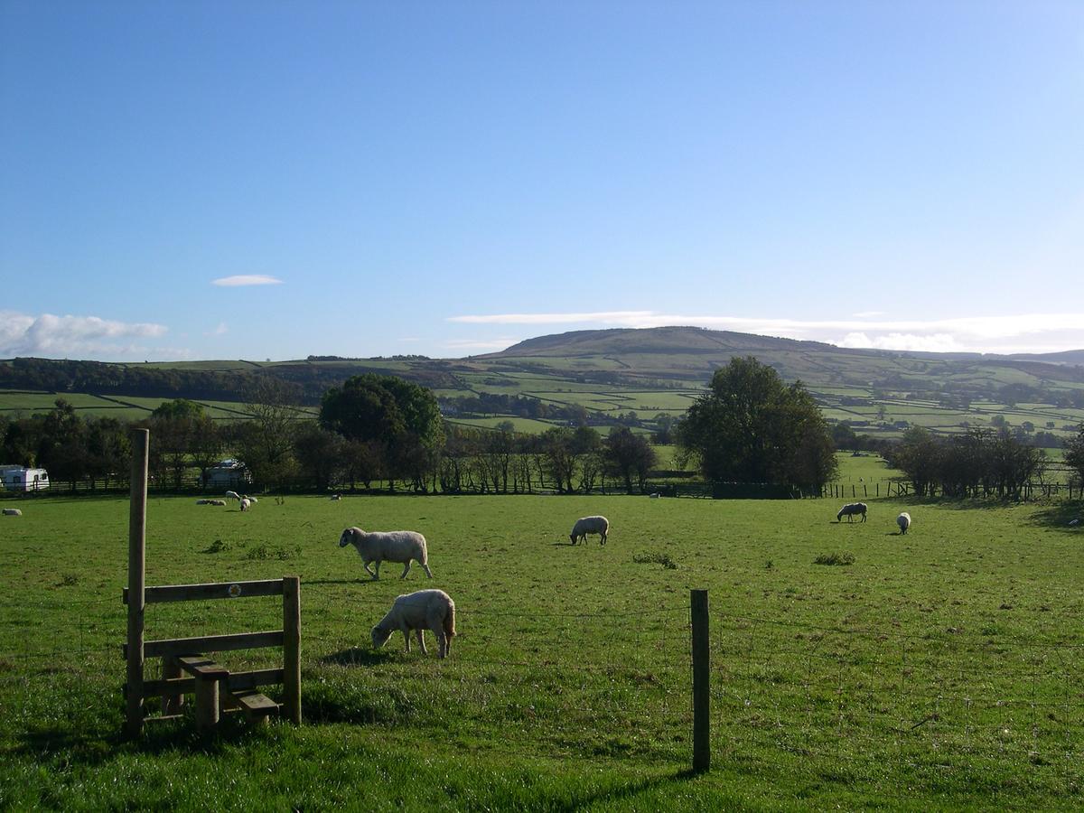 Silsden Pickersgill Manor Farm B&B 외부 사진